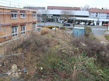 Die Baustelle an der Äußeren Nürnberger Straße wirkt seit August verlassen. Dort, wo Büsche wuchern (rechts), sollen ab Ende nächsten Jahres sechs weitere Häuser stehen, hat der Bauträger Autarkhaus am Dienstag angekündigt. Foto: Ekkehard Roepert