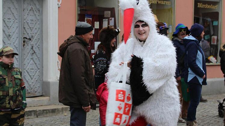 Der Faschingsumzug in Höchstadt war auch 2017 wieder sehr gut besucht. Foto: Franziska Rieger