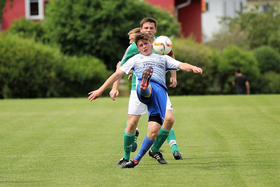 SV Willanzheim - SV B&uuml;tthard