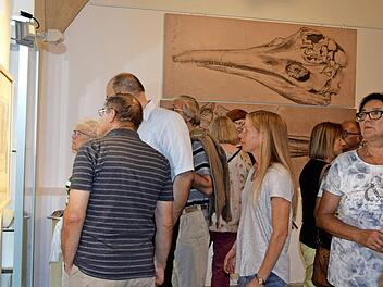 Die lebensgroßen Ansichten des Ichthyosaurus-Schädel sind Teil der großen Sammlung. Foto: Andreas Welz