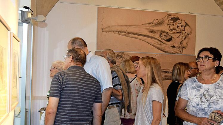 Die lebensgroßen Ansichten des Ichthyosaurus-Schädel sind Teil der großen Sammlung. Foto: Andreas Welz