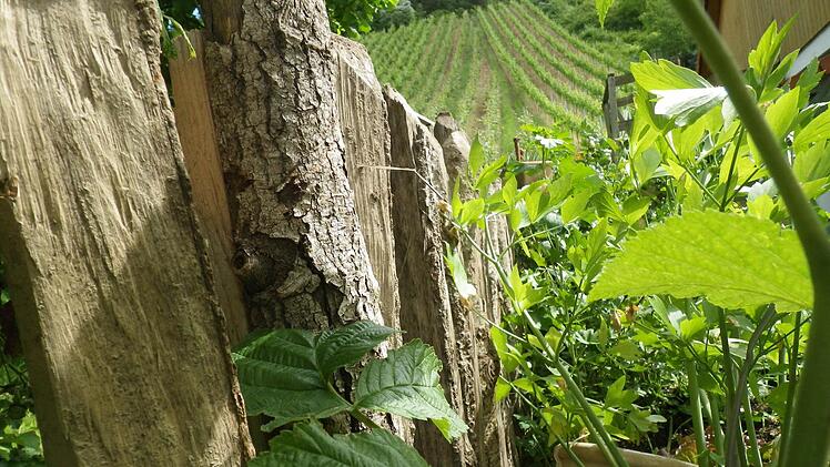 Im Garten der Familie Vierheilig