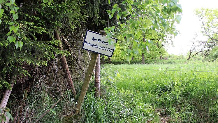 Vorbei am "Kröckel"-Haus am Felsenkeller verläuft ein alter Verbindungsweg ins Leere. Foto: Julia Raab