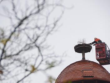 Winfried Kleinhenz hackt das Gestrüpp aus dem Nest. Foto: Arkadius Guzy