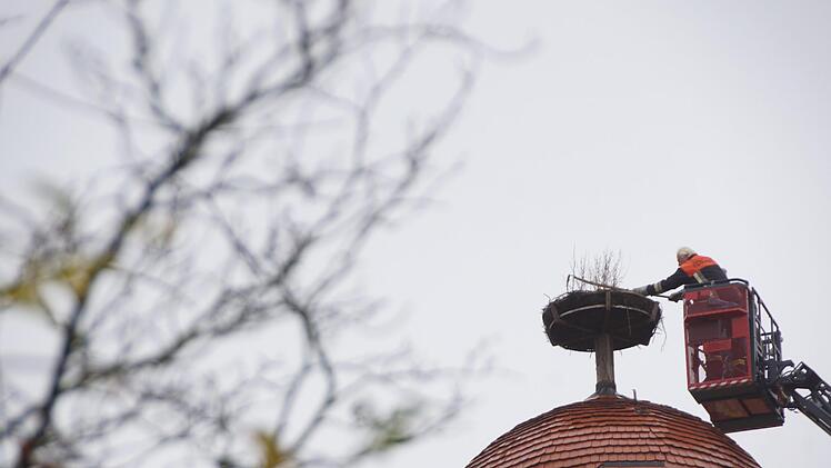 Winfried Kleinhenz hackt das Gestrüpp aus dem Nest. Foto: Arkadius Guzy