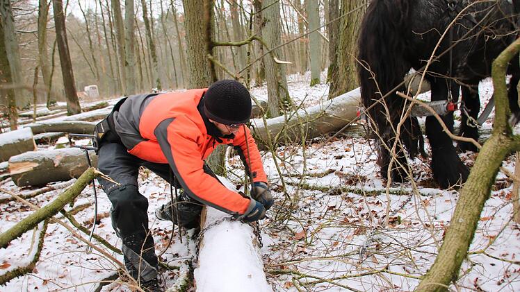 Tobias Dotter und sein Pferd bei der Arbeit im Wald.  Foto: Ralf Ruppert