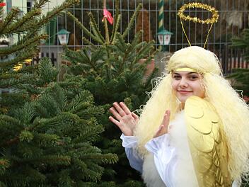 Das Staffelsteiner Christkind - die 14-jährige Zoi - suchte sich im  Tannenwald einen Weihnachtsbaum aus. Foto: Matthias Einwag
