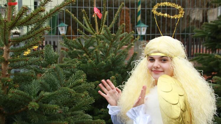 Das Staffelsteiner Christkind - die 14-jährige Zoi - suchte sich im  Tannenwald einen Weihnachtsbaum aus. Foto: Matthias Einwag