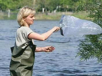 Doreen Werner auf Mückenjagd