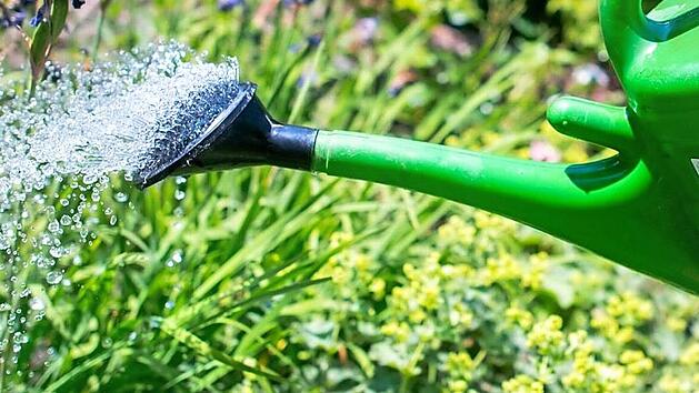 Weil die solarbetriebene Pumpe des Ranke-Brunnens nur funktioniert, wenn die Sonne scheint, müssen die Anwohner Wasser von zu Hause mitbringen. Die Gemeinde will Abhilfe schaffen. Symbolfoto: Archiv/Christian Dittrich, dpa