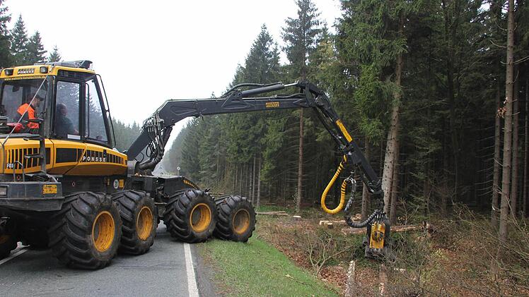 Ein Baum wird gefällt....