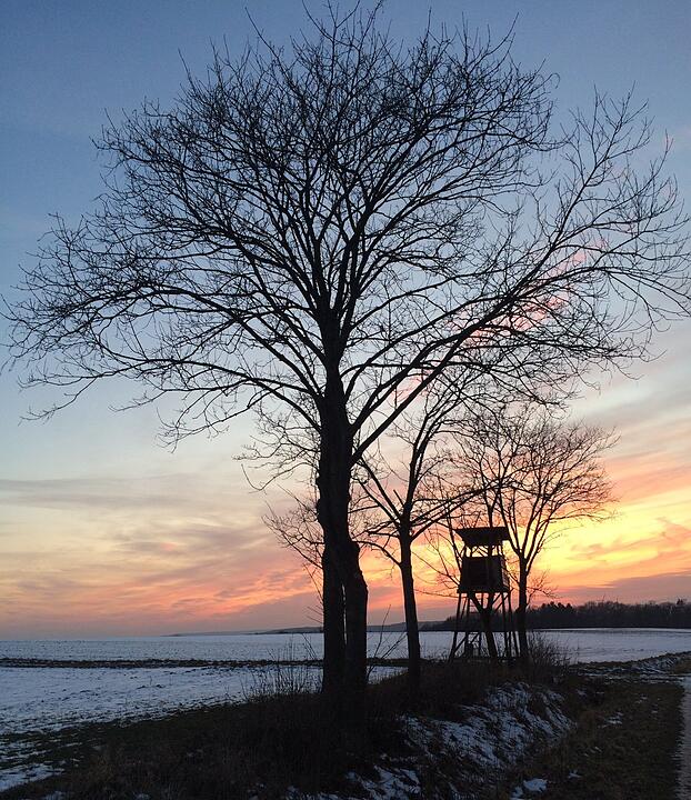 Die schönsten Frühlingsfotos aus Lichtenfels und Umgebung