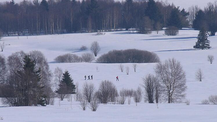 Querfeldein mit Schneeschuhen durch das Naturschutzgebiet. Solche St&ouml;rungen der empfindlichen Natur sind in schneereichen Wintern an der Tagesordnung.