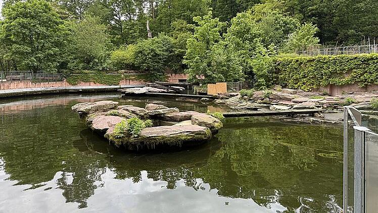 Tiergarten Nürnberg: Warum sind diese Tiere aktuell nicht zu sehen?