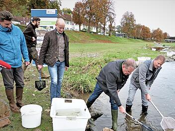 600 Bachforellen und Äschen wurden zum Abschluss einer großen Besatzaktion im Weißen Main eingesetzt. Unser Bild zeigt (von rechts) Frank Podhorn vom Bezirksfischereiverein, Bezirkstagspräsidenten Henry Schramm, Kreisjagdberater Clemens Ulbrich, Thomas Abt von der Gewässeraufsicht des Bezirks und Fachberater Thomas Speierl. Foto: Werner Reißaus