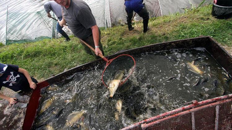 Vom ersten Teich geht es per Boot zum Umladen. Foto: Michael Busch