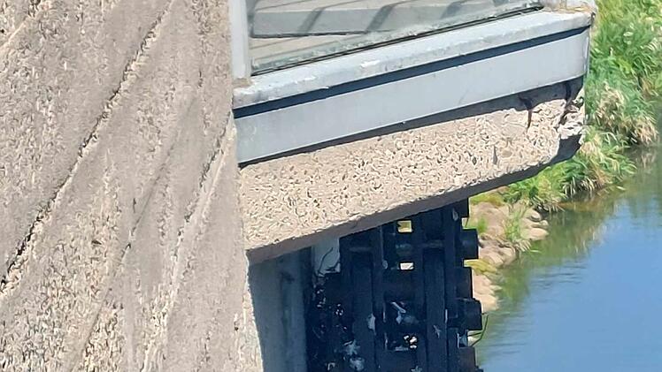 Bambergerin in Sorge: "Dann werden die Tiere vermutlich zerquetscht"