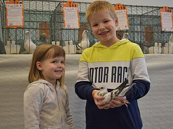 Die Ausstellung des Kleintierzuchtvereins Oerlenbach und Umgebung fand auf bei den jüngsten Besuchern großen Anklang. Foto: Andreas Lomb
