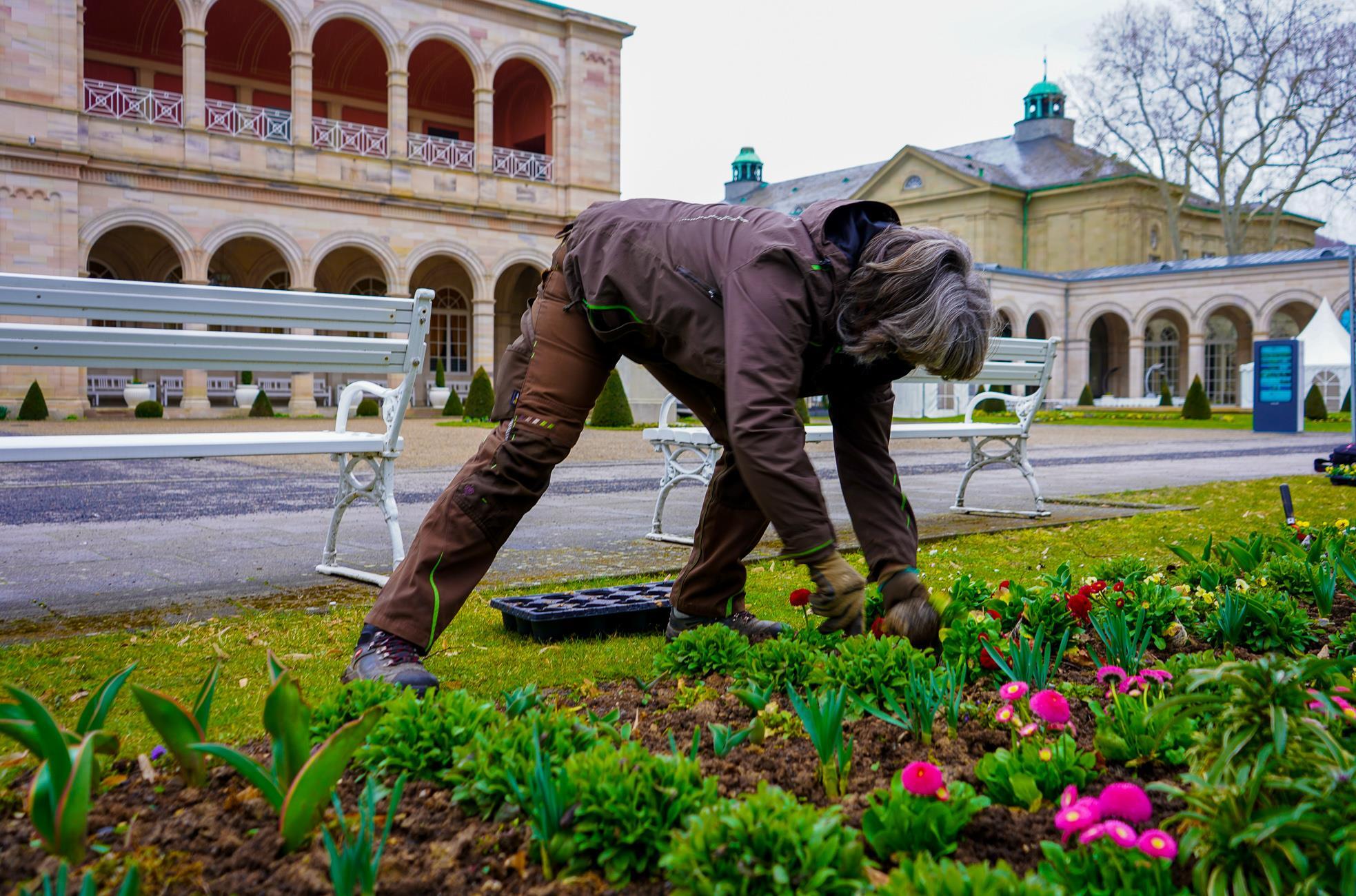 bad kissingen wird wieder grun