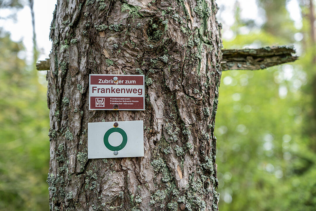 Der große Burgfels dient als toller Aussichtspunkt.