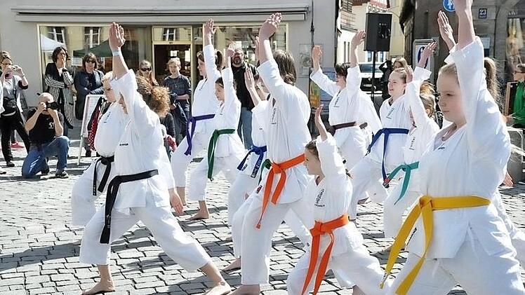 Aikido-Vorführungen werden zu sehen sein.  Foto: PR