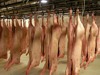 Der Kulmbacher Schlachthof. Foto: Archiv