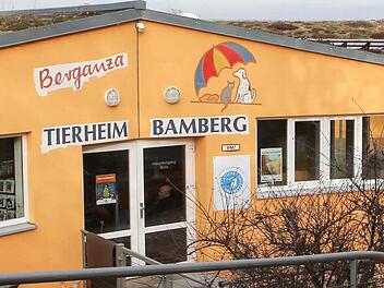Das Bamberger Tierheim im Stadtteil Gaustadt Foto: Harald Rieger