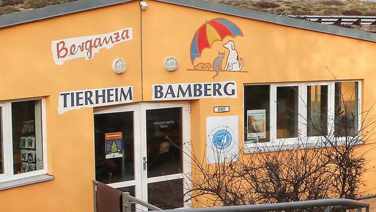 Das Bamberger Tierheim im Stadtteil Gaustadt Foto: Harald Rieger
