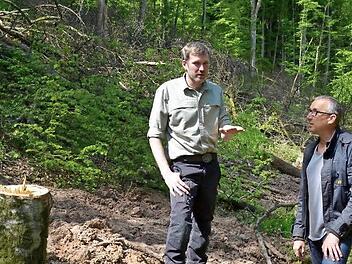 Erste Bäume wurden an der Aschacher Leite bereits gefällt. Jedoch mussten die Arbeiten unterbrochen werden, da der Boden zu feucht war. Nächste Woche gehen sie weiter. Was genau gemacht wird, erklärt hier Revierleiter Michael Sautter dem Zweiten Bürgermeister Andreas Sandwall.  Foto: Kathrin Kupka-Hahn