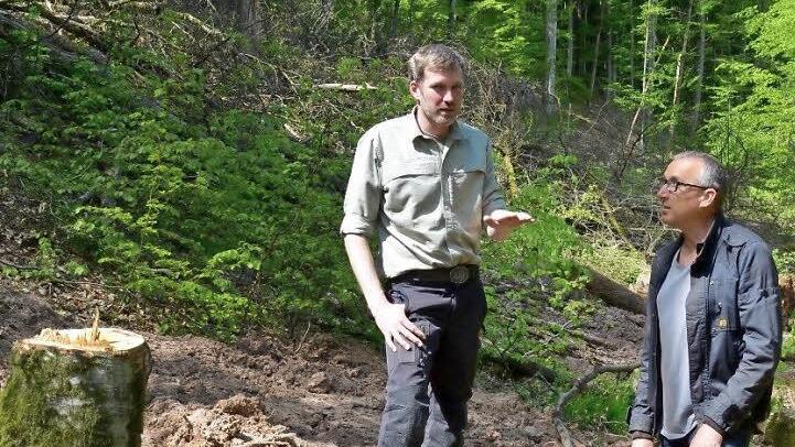 Erste Bäume wurden an der Aschacher Leite bereits gefällt. Jedoch mussten die Arbeiten unterbrochen werden, da der Boden zu feucht war. Nächste Woche gehen sie weiter. Was genau gemacht wird, erklärt hier Revierleiter Michael Sautter dem Zweiten Bürgermeister Andreas Sandwall.  Foto: Kathrin Kupka-Hahn