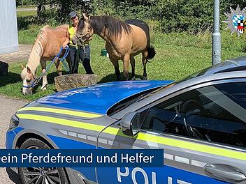 Kreis Ansbach: Pferde stehen bei Sommerhitze in Stau auf A7 - Polizei hilft mit frischem Wasser aus