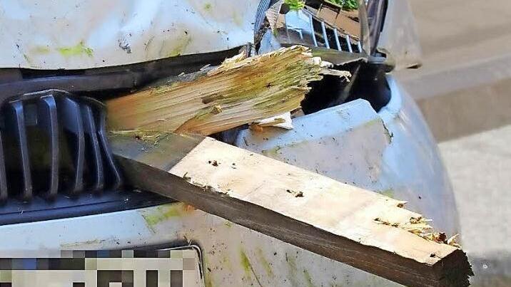 Bis in den Motorraum des Kleinwagens bohrten sich die Latten des Holzzauns beim Unfall am Montagvormittag in Weißenbrunn. Warum der Fahrer die Kontrolle über seinen Wagen verloren hatte, konnte gestern nicht abschließend geklärt werden. Fotos: Marco Meißner