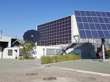 Die "Smartflower" fächert sich wie eine Sonnenblume auf und wandert mit der Sonne.  Foto: privat