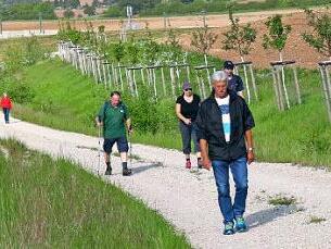 In der Gruppe macht Wandern noch mehr Spaß, wie viele Gruppen an den 49. Wandertagen des TSV Untersiemau bewiesen.