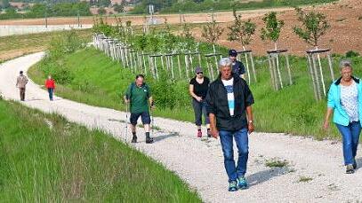 In der Gruppe macht Wandern noch mehr Spaß, wie viele Gruppen an den 49. Wandertagen des TSV Untersiemau bewiesen.