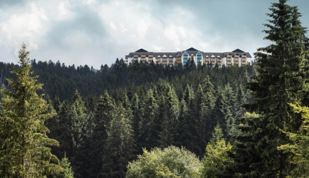 Familux The Grand Green Mitarbeiterkampagne 2023