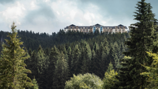 Familux The Grand Green Mitarbeiterkampagne 2023