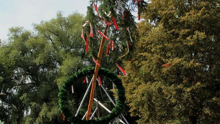 Die Feuerwehr stellt mit vereinten Kräften den geschmückten Baum auf.