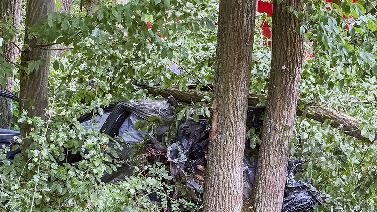 Forchheim: Autofahrer hinterl&auml;sst gro&szlig;e Verw&uuml;stung - Bergung aufwendig