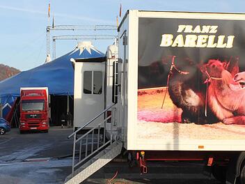 Die Stadt hat aus dem Ärger mit dem Zirkus Barelli gelernt und verlangt bei Zirkus-Gastspielen jetzt immer eine Kaution. Foto: Archiv/Stephan Tiroch