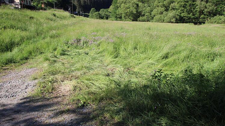 Das Gras in der Wiese war plattgewalzt. Foto: Friedwald Schedel