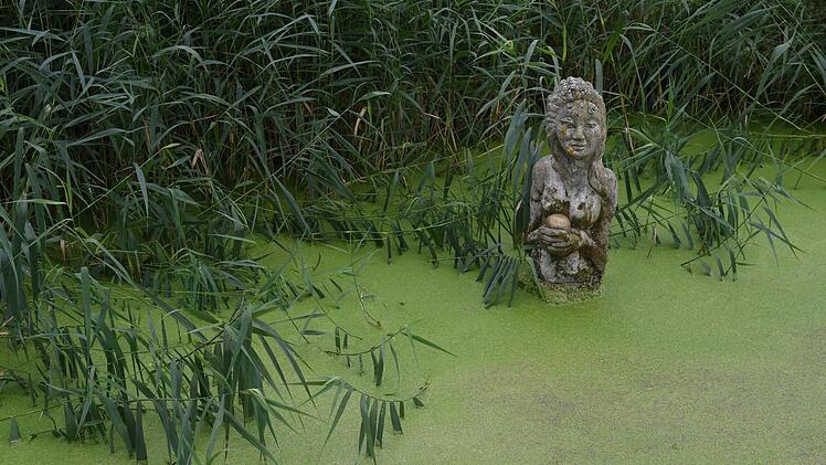 Zu Gast bei Gottfried Grau in Grössau. Foto: Ronald Rinklef