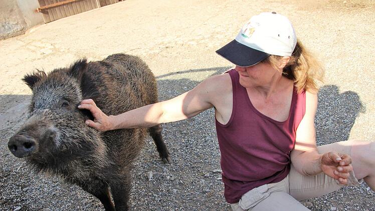 Rosalie liebt Streicheleinheiten. Das Wildschwein scheint regelrecht zu grinsen, wenn Valeska Roos es krault. Diana Fuchs