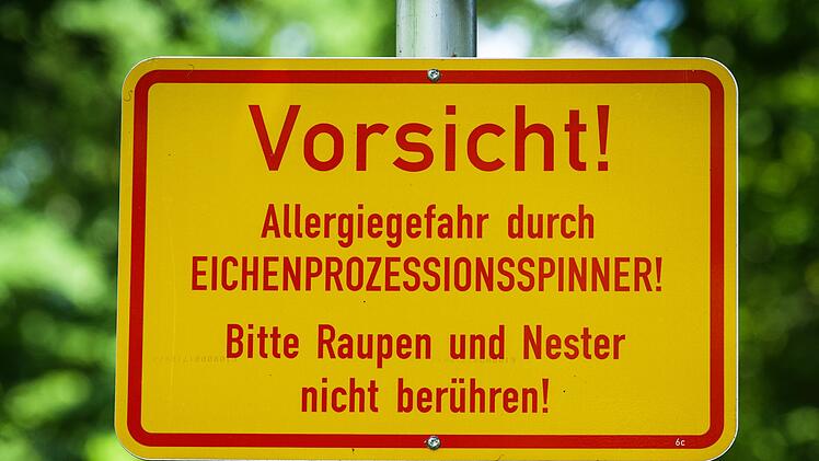Berliner Volkspark Hasenheide - Eichenprozessionsspinner