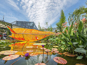 Ungewöhnliche Teichlandschaft mit Seerosen im botanischen Garten Erlangen.