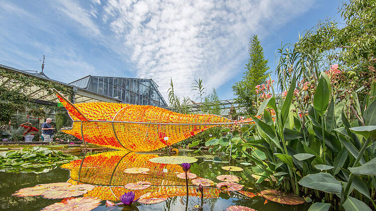 Ungewöhnliche Teichlandschaft mit Seerosen im botanischen Garten Erlangen.