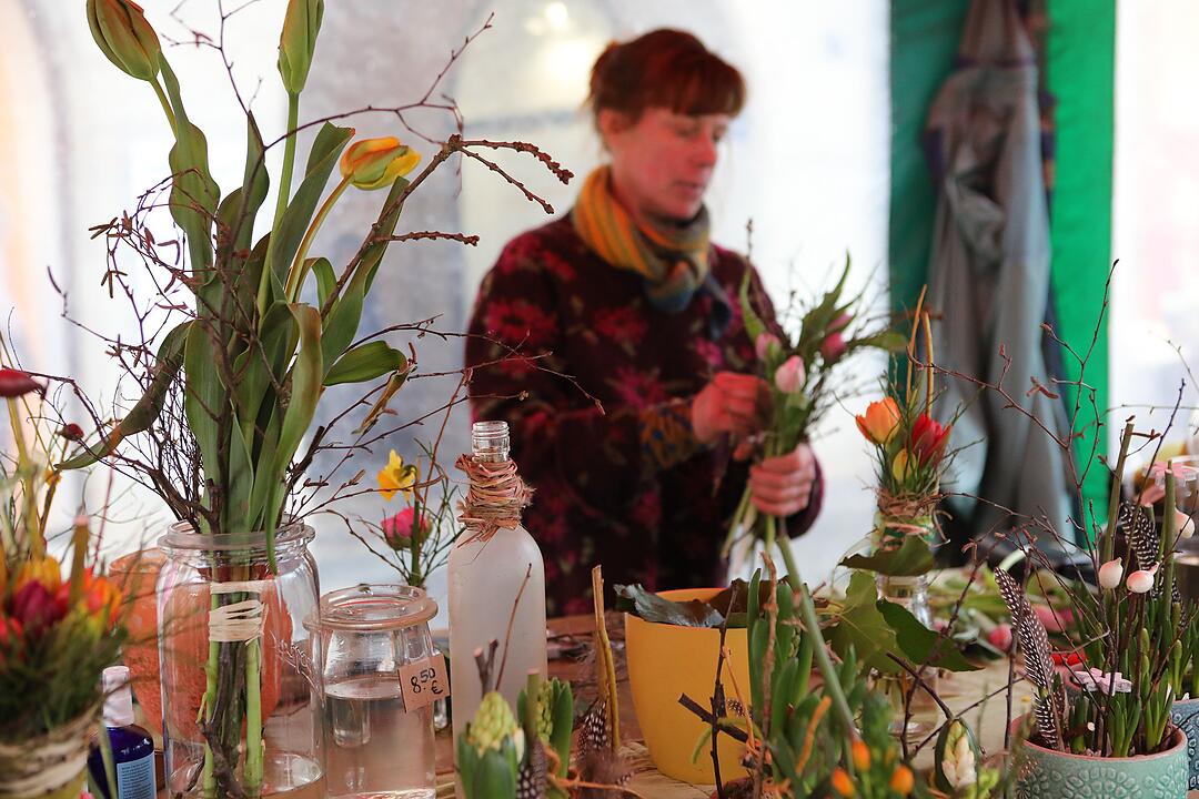 Frühling in Franken: Das Leben erwacht