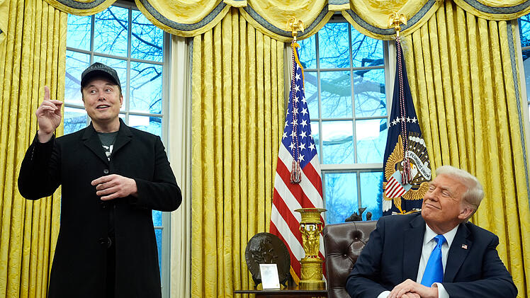 "Dümmer als ein Sack Ziegel": Musk teilt heftig gegen Trump-Vertrauten aus