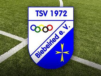 TSV Biebelried