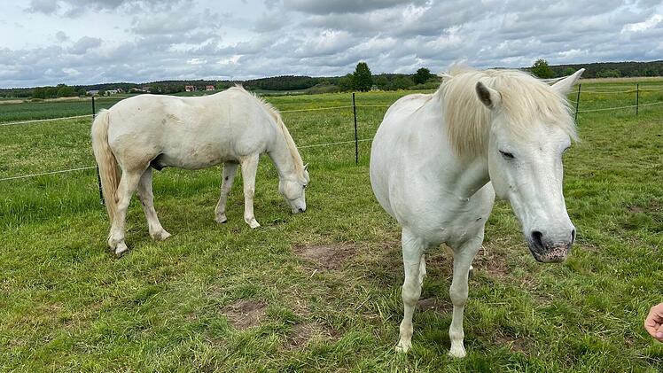 Landkreis Erlangen-H&ouml;chstadt: Neues Projekt  startet im Naturschutzgebiet Mohrhof